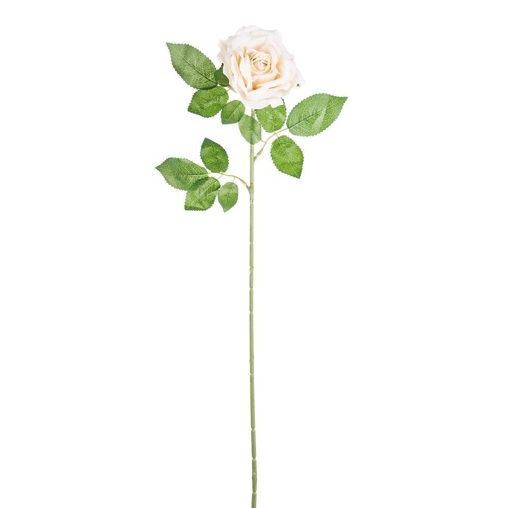 ROSA ELEONORE CREMA 75CM